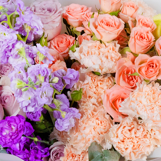 BOUQUET №187 / 101187_03