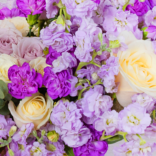 BOUQUET №192 / 101192_03