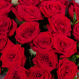 BOUQUET №231 - мини фото 101231_03